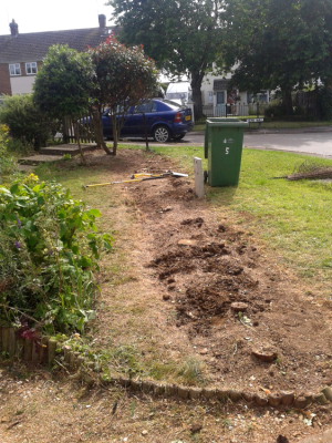 Hedge removal