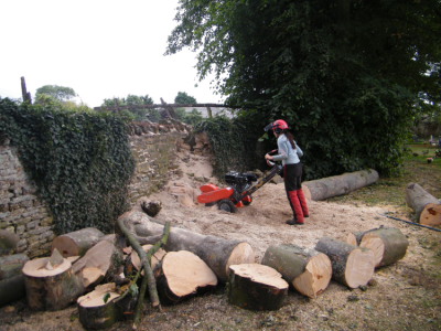 Stump grinding
