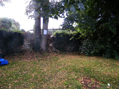 Tree removal